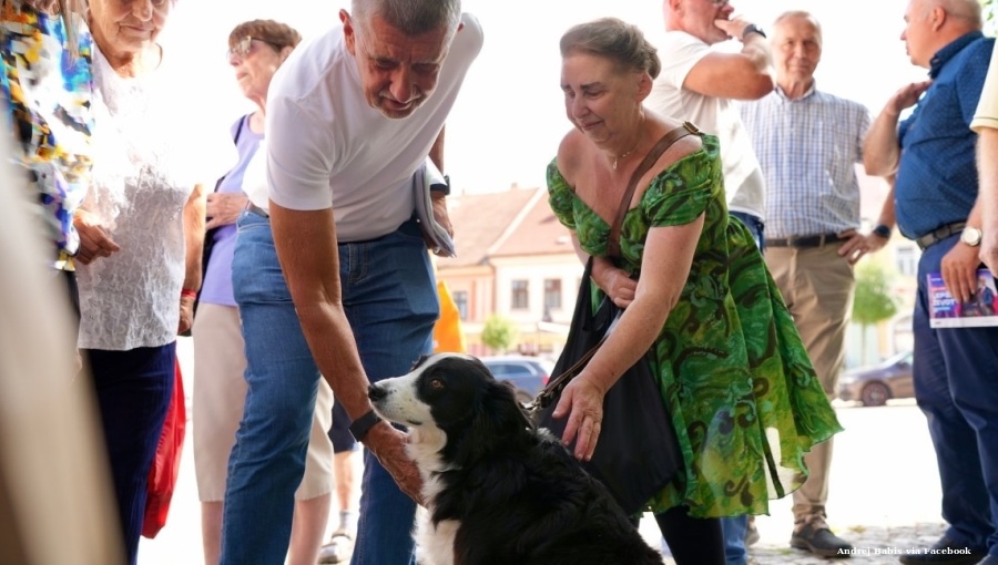 Czech ANO party ejects candidate who schemed to kill ex-husband’s dog