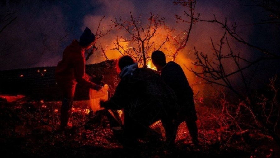 International aid rushed to battle wildfires in Iran’s ancient Hyrcanian forests