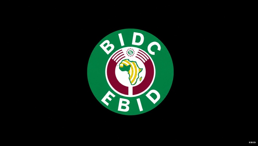 AfDB becomes first external shareholder in West Africa's Bank for Investment and Development