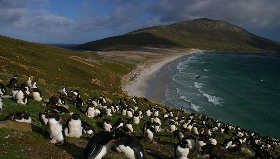 Argentina and UK trade barbs over Falklands as US said to rethink neutral stance