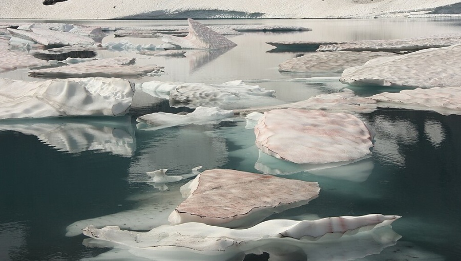 Glaciers are melting as governments plan to produce about 110% more fossil fuels in 2030 than would be consistent with limiting warming to 1.5°C and 69% more than would be consistent with 2°C.