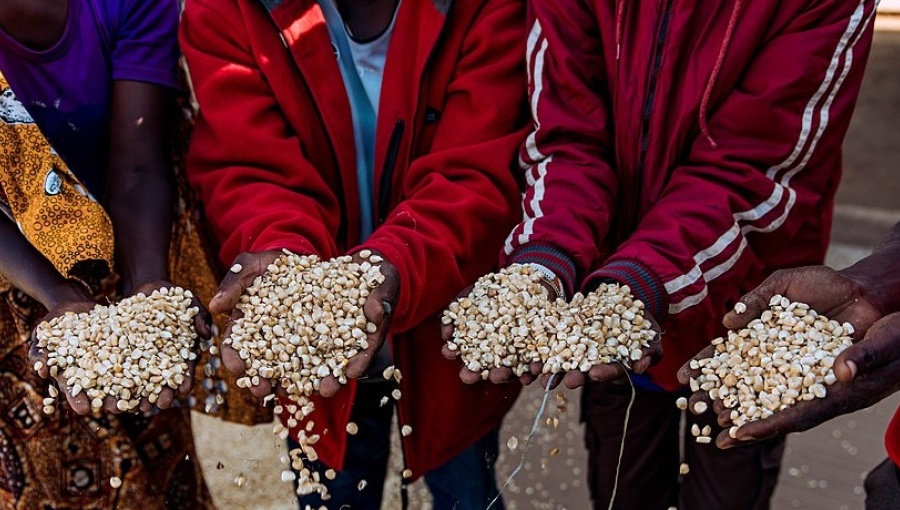 bne IntelliNews The Black Sea grain deal is about to expire. What is