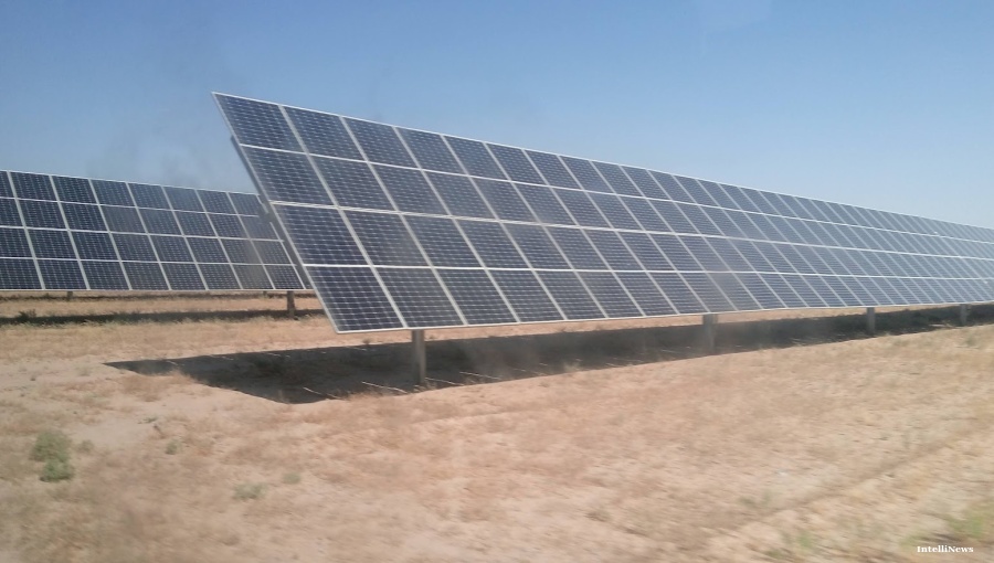 TCHAKAROV: New shade of success? Think Uzbek green!