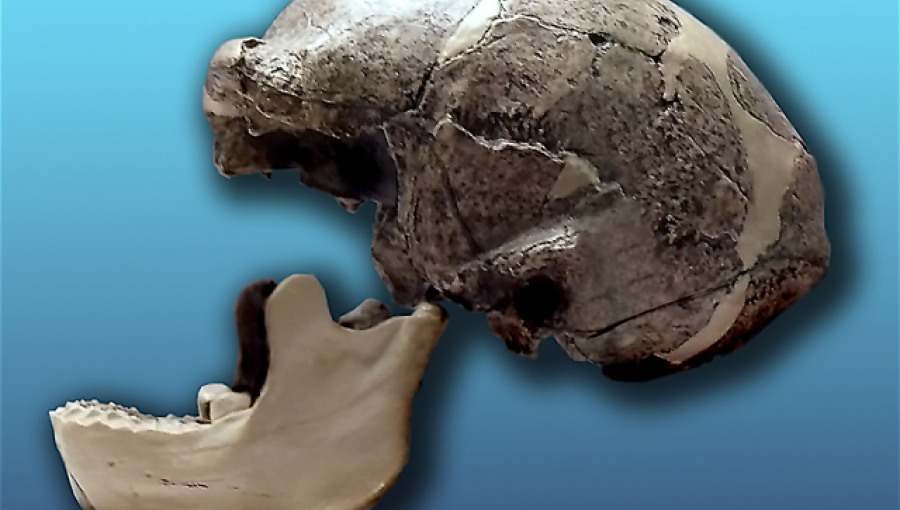 Skull discovered in China may – or may not - rewrite human history