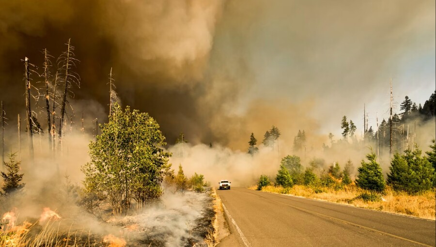 Transboundary haze from Indonesian peatland fires crosses into Malaysia, threatens biodiversity