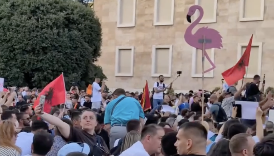 BALKAN BLOG: Albania’s ‘flamingo revolution’ raises questions over Rama’s long rule