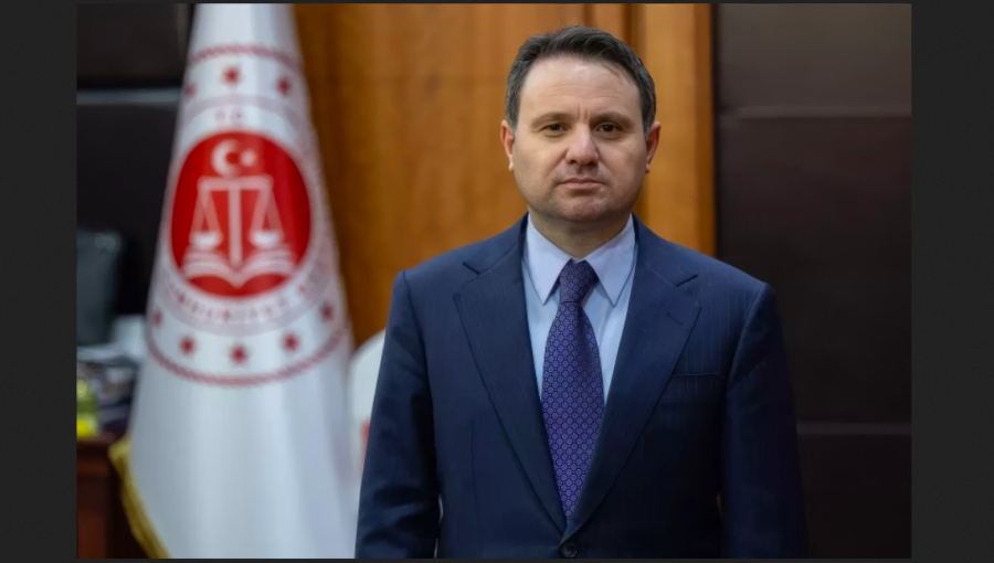 Sky no longer falling in for Turkey's poultry industry as state U-turns on seizure of top producers