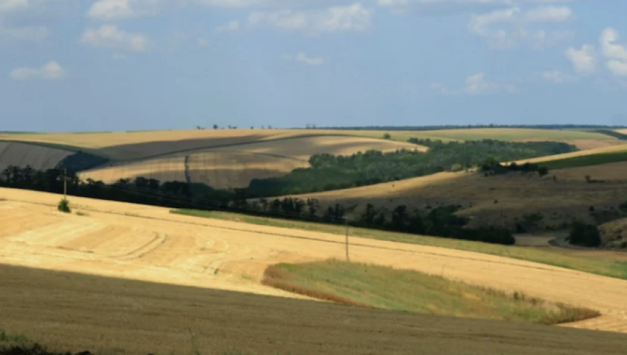 Infortar's Litagra takeover to create Baltic dairy heavyweight