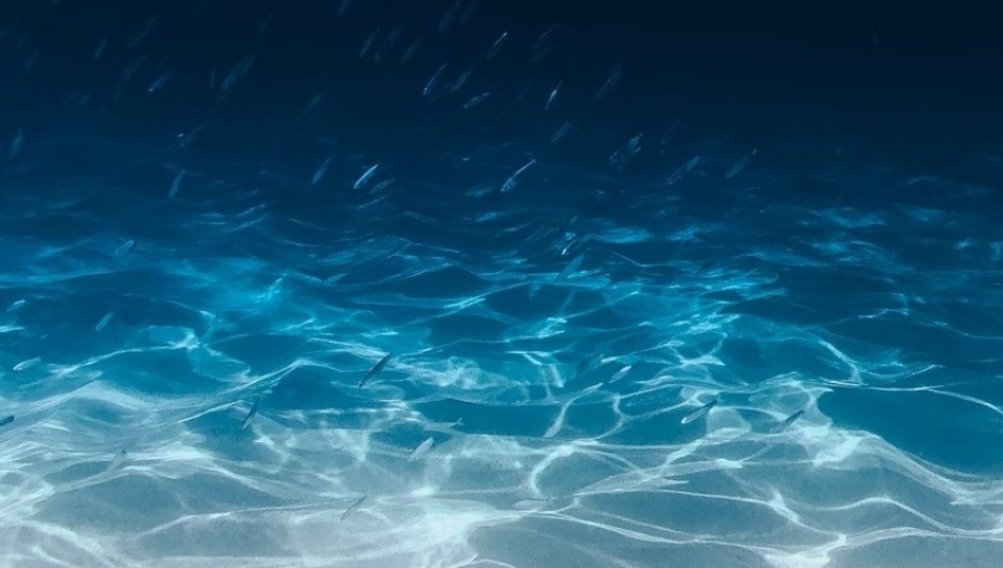 Japanese scientists measure seafloor sinking for the first time