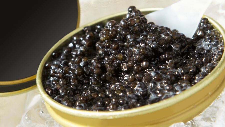 Iran caviar exports approach $8mn despite wartime logistics shocks