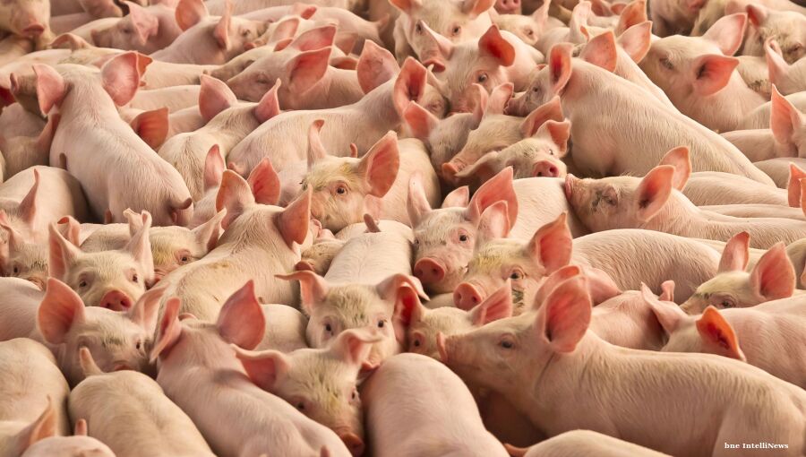 Russia's meat exports to China rise 26% in five months