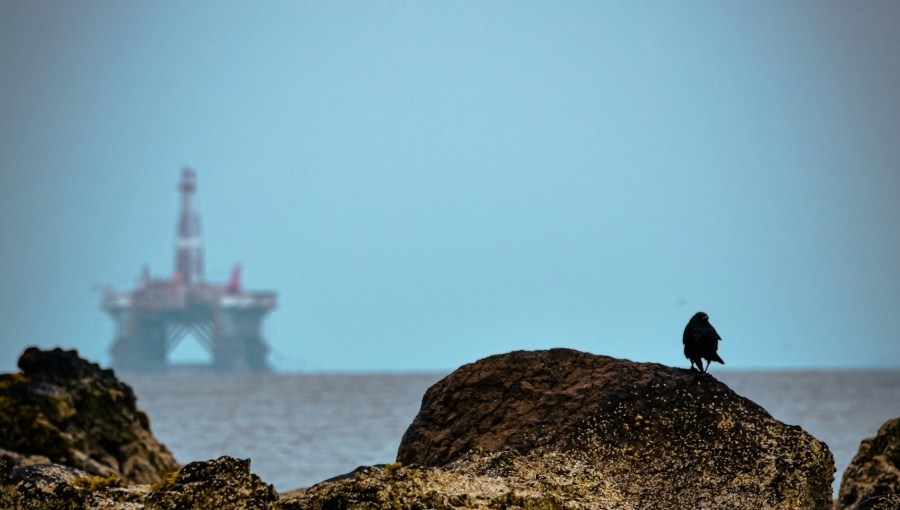 While smaller independent producers expressed eagerness to pursue opportunities, major oil companies are leaning against deploying the tens of billions of dollars needed for meaningful production growth without physical security guarantees, legal certainty and competitive fiscal terms.