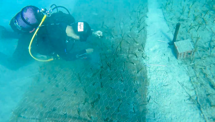 Garanti issues Turkey’s first biodiversity blue bond