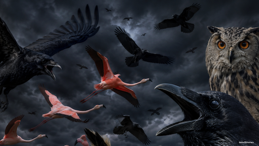 BALKAN BLOG: Albania's bird symbolism takes flight in political battle