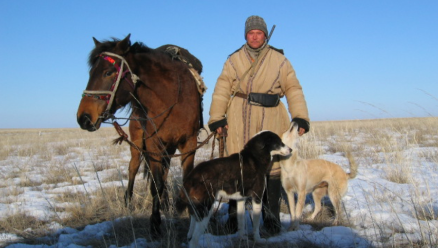Kazakh farmers put Starlink on horses and dogs to herd livestock 