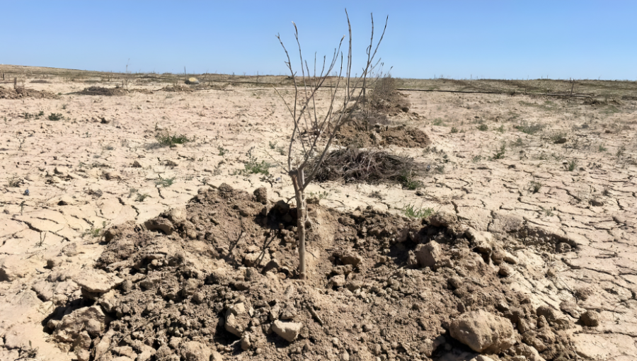 Central Asian states stepping up efforts to tackle water-related challenges