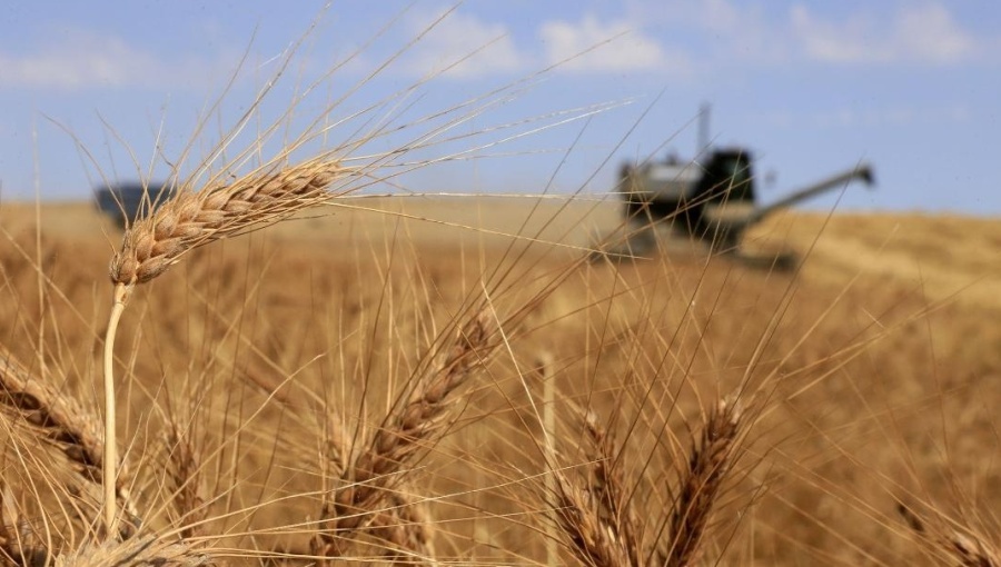 Central Asia’s agricultural sector facing heat this coming growing season