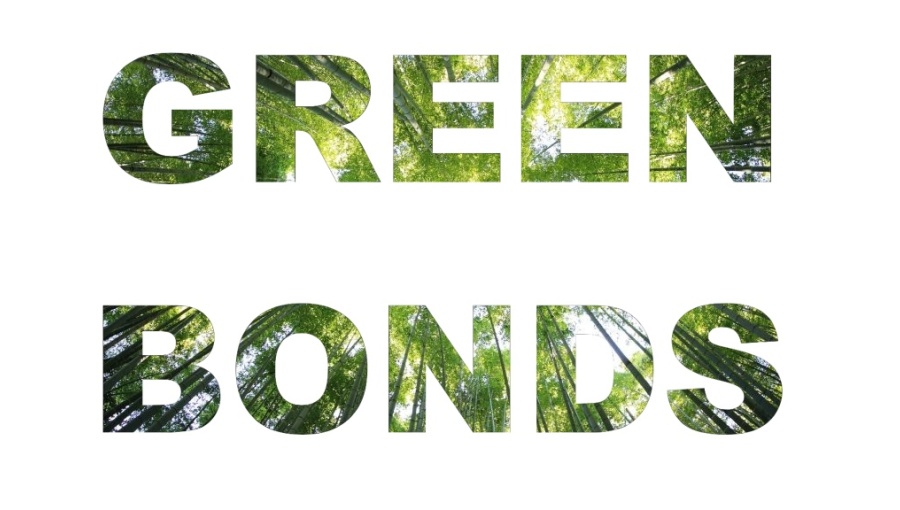 ESG and green bonds started out as a fad, but have gone mainstream after renewable power generation costs tumbled and demand for AI-related power surges. 