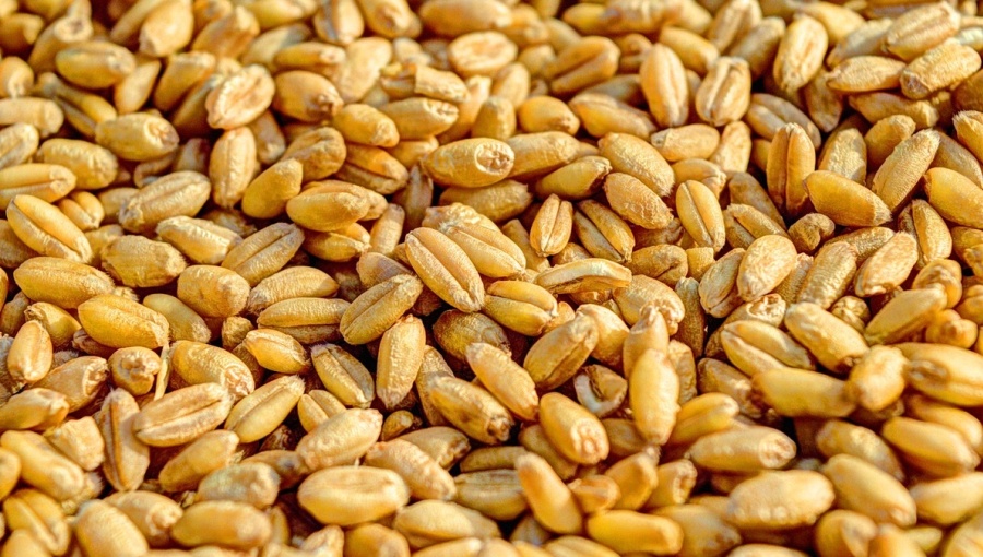 Black Sea grain export deal extended for the full 120 days 