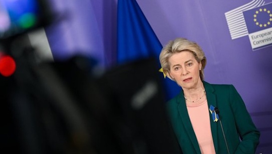 bne IntelliNews - EU unveils growth plan for Western Balkans, offers ...