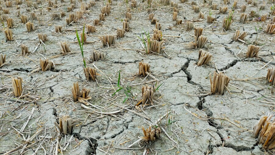 Extreme El Niño could cost Latin America 2% of GDP, ECLAC warns