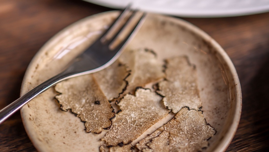 Croatian white truffle prices hit €5,000 per kilo as drought curbs harvest