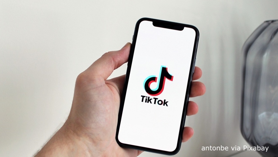 bne IntelliNews – アルバニア、学校での刺殺事件を受けてTikTokとSnapchatの禁止を検討